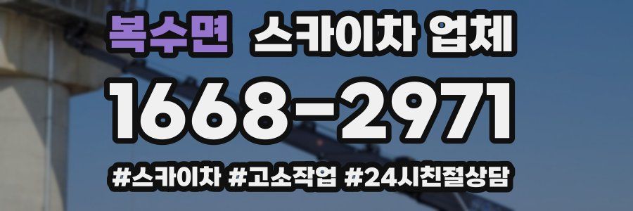 복수면 스카이차 업체