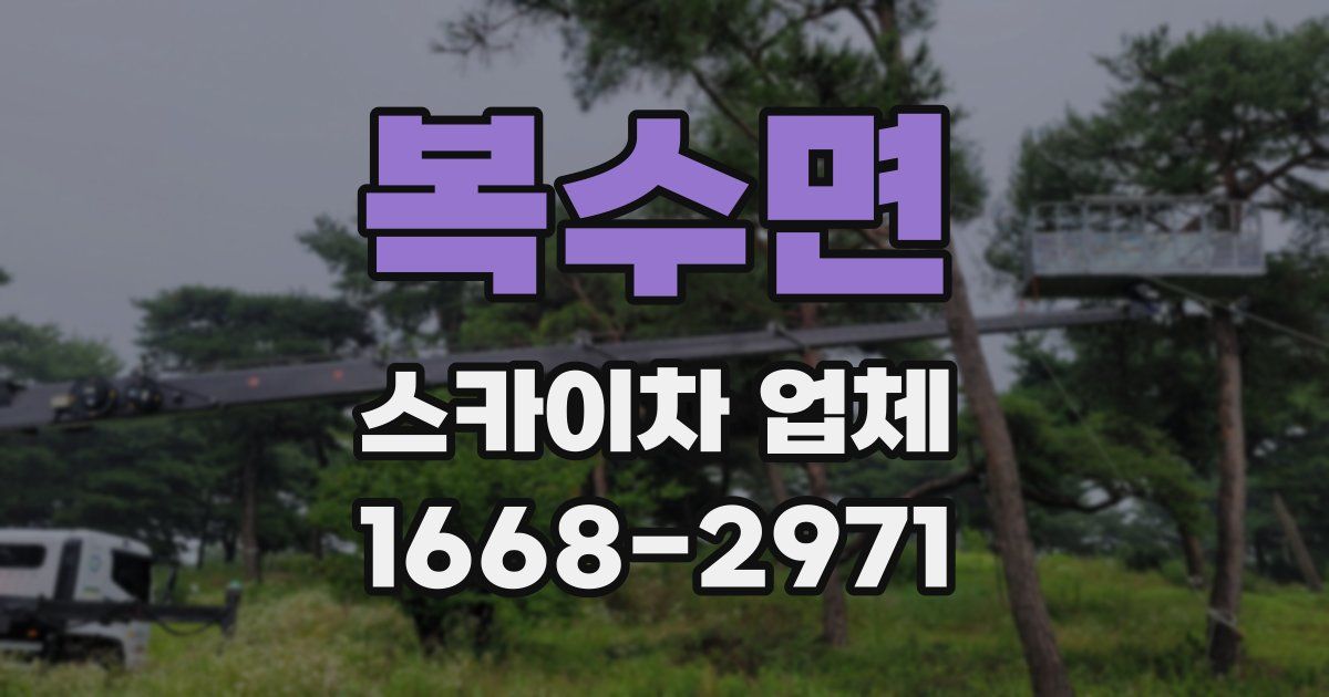 복수면 스카이차 업체