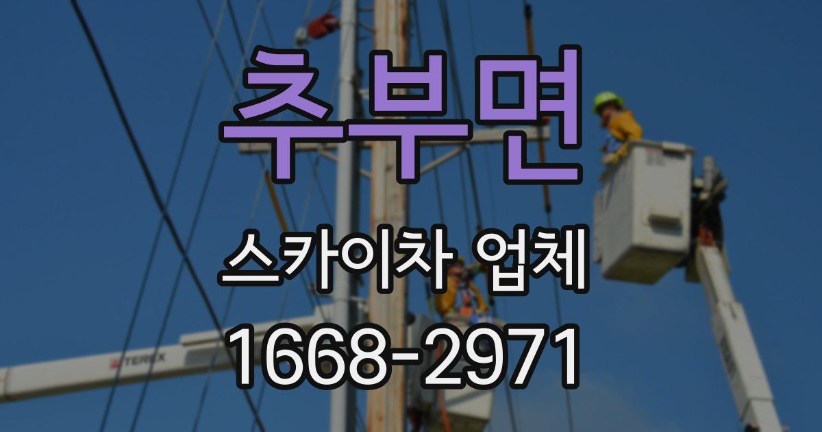 추부면 스카이차 업체