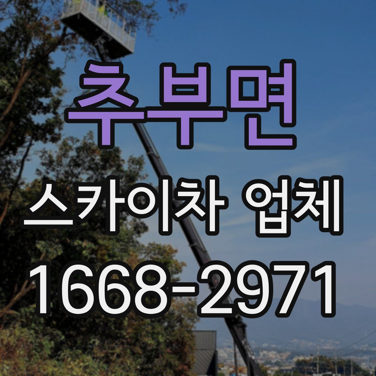추부면 스카이차 업체