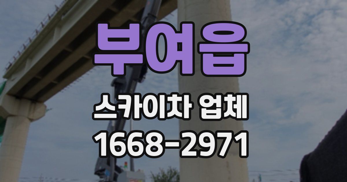 부여읍 스카이차 업체