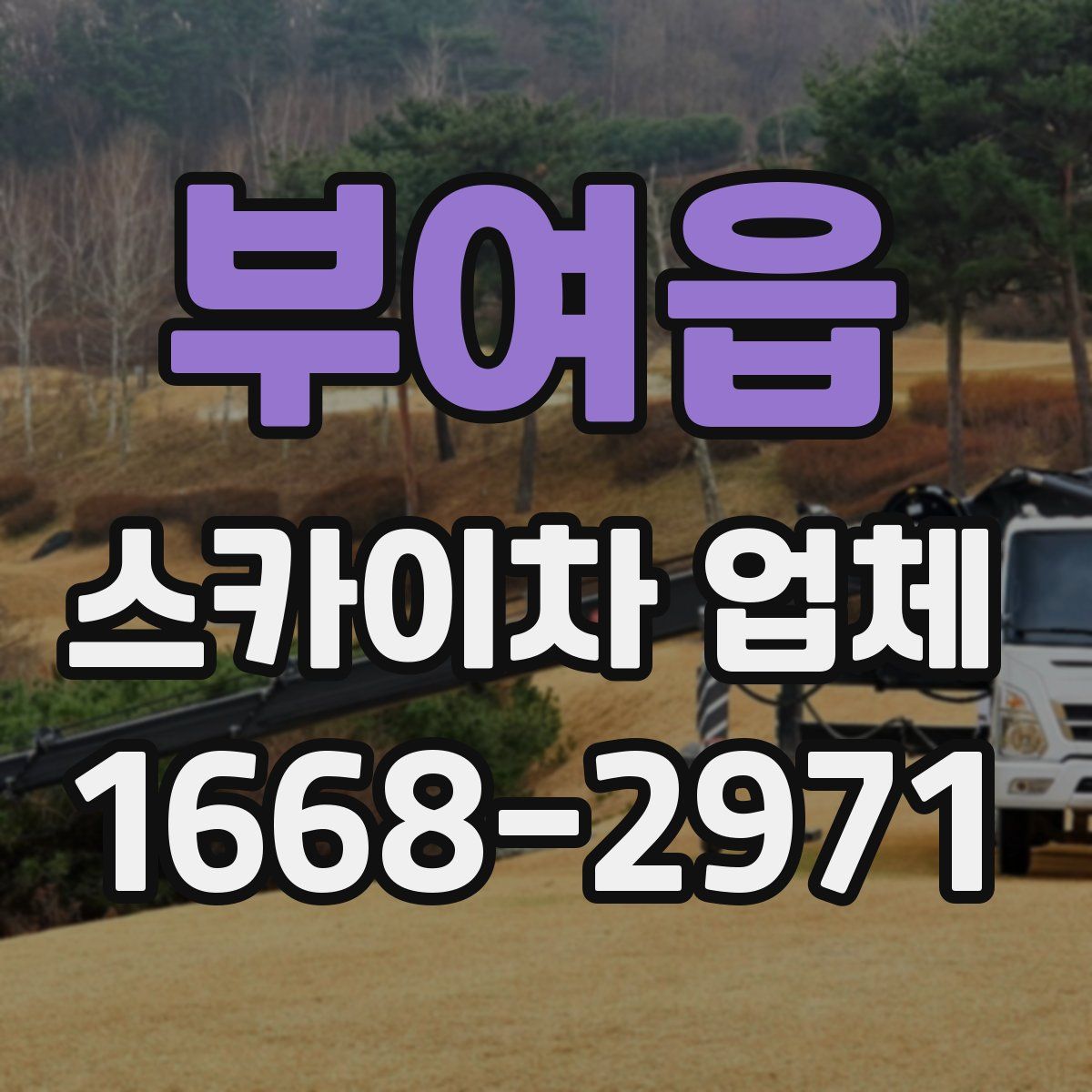 부여읍 스카이차 업체