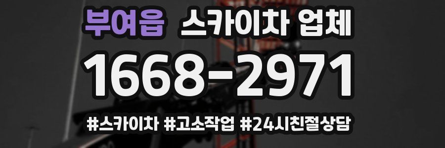 부여읍 스카이차 업체