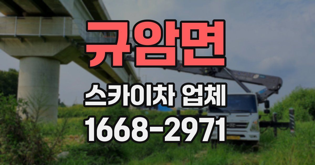 규암면 스카이차 업체