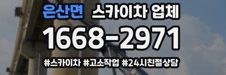 은산면 스카이차 업체
