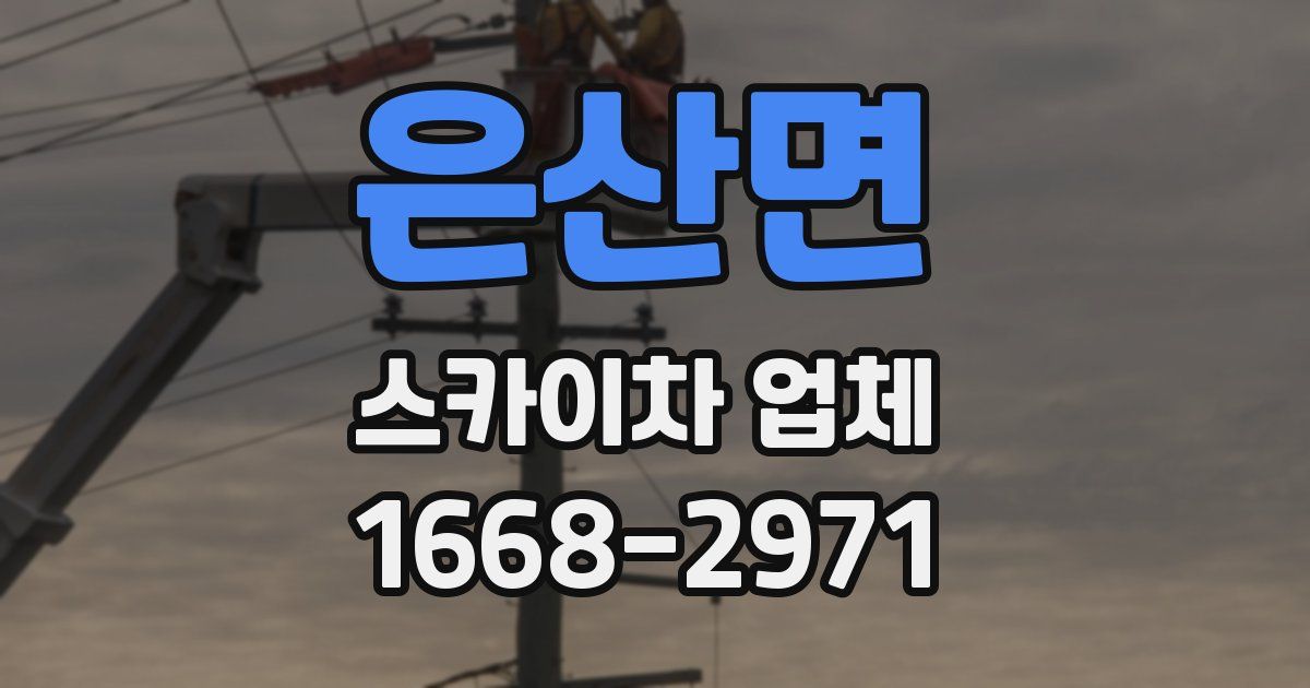 은산면 스카이차 업체