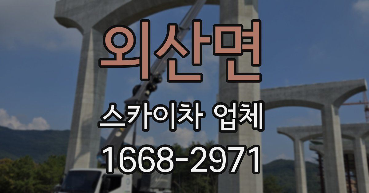 외산면 스카이차 업체