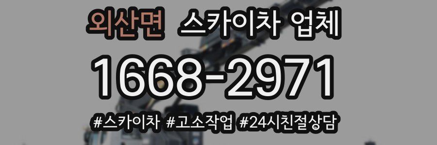 외산면 스카이차 업체