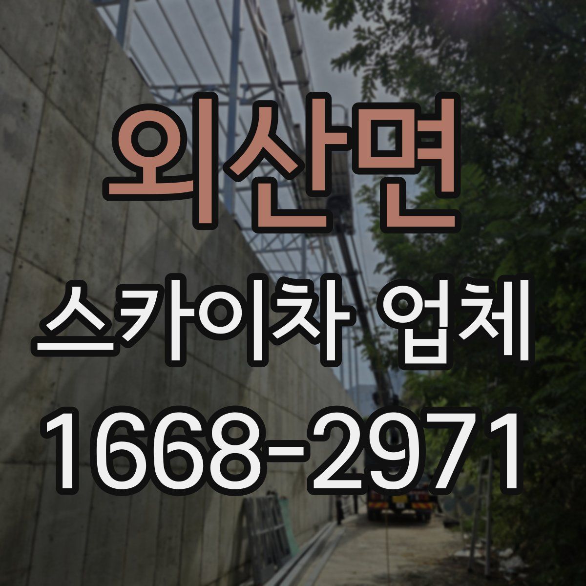 외산면 스카이차 업체