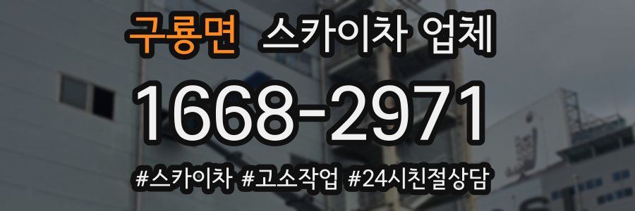 구룡면 스카이차 업체