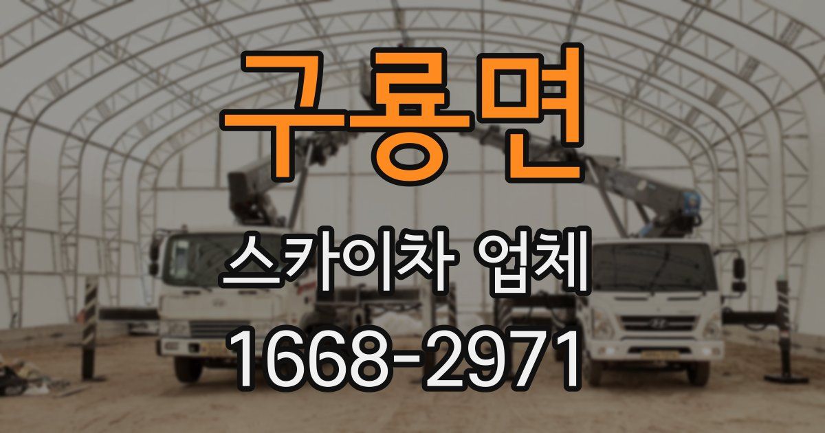 구룡면 스카이차 업체