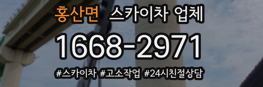 홍산면 스카이차 업체