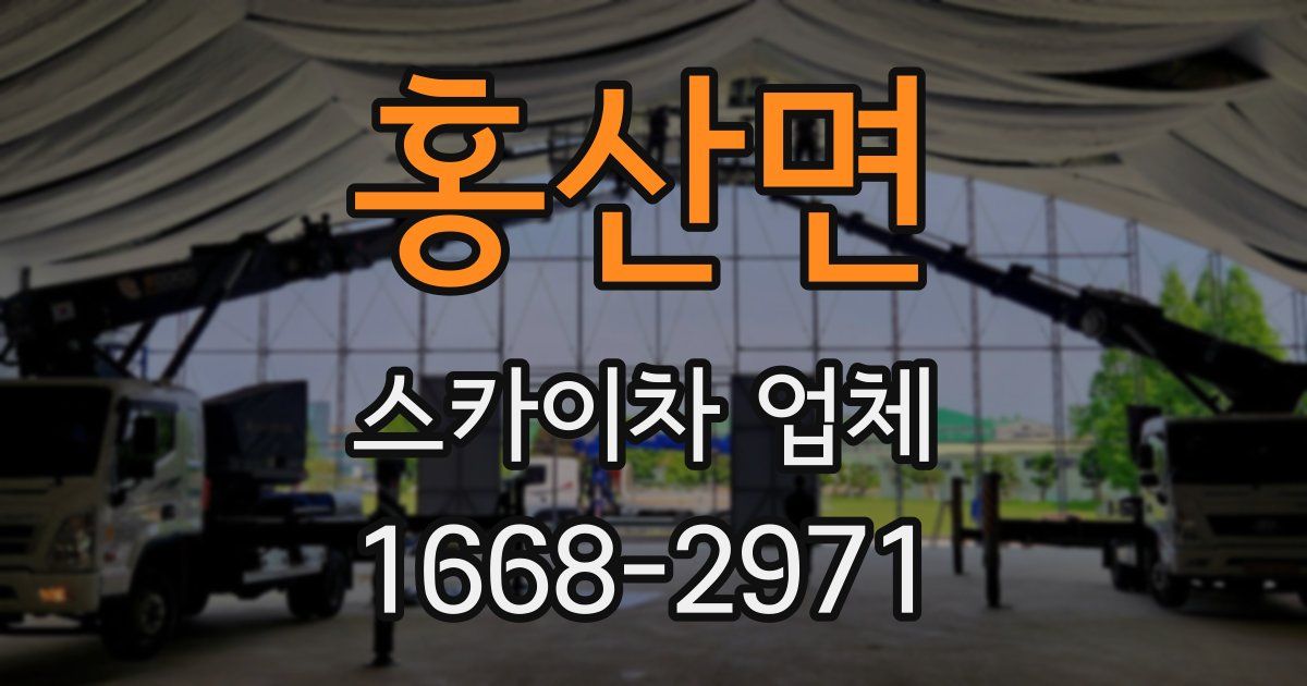 홍산면 스카이차 업체