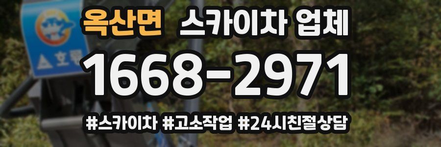 옥산면 스카이차 업체