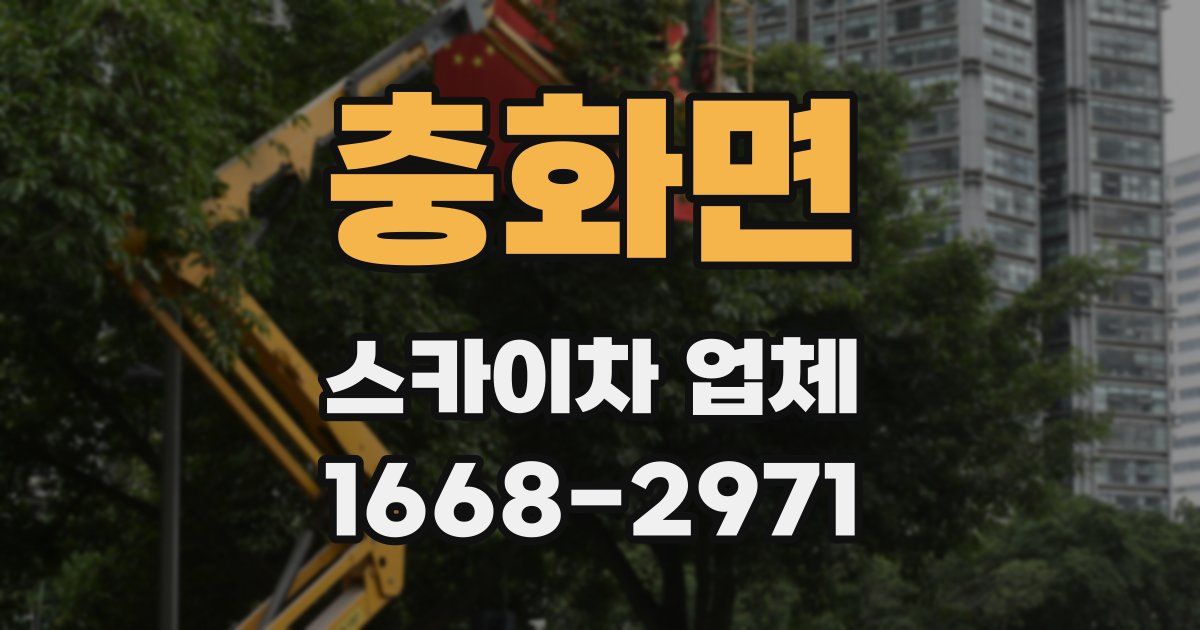 충화면 스카이차 업체
