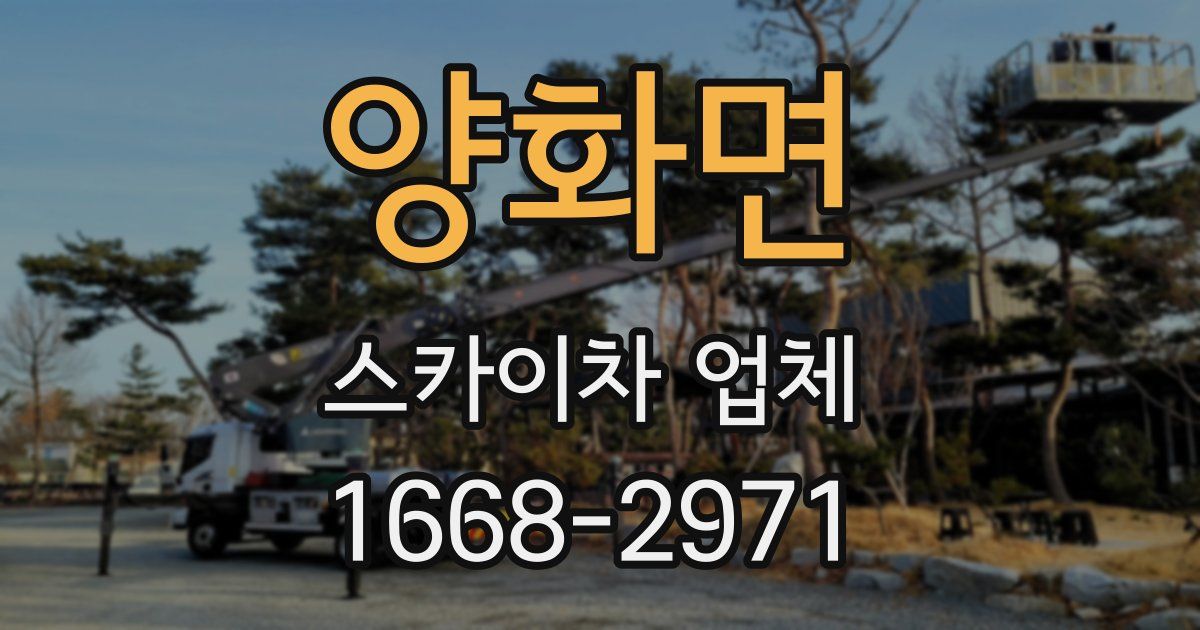 양화면 스카이차 업체
