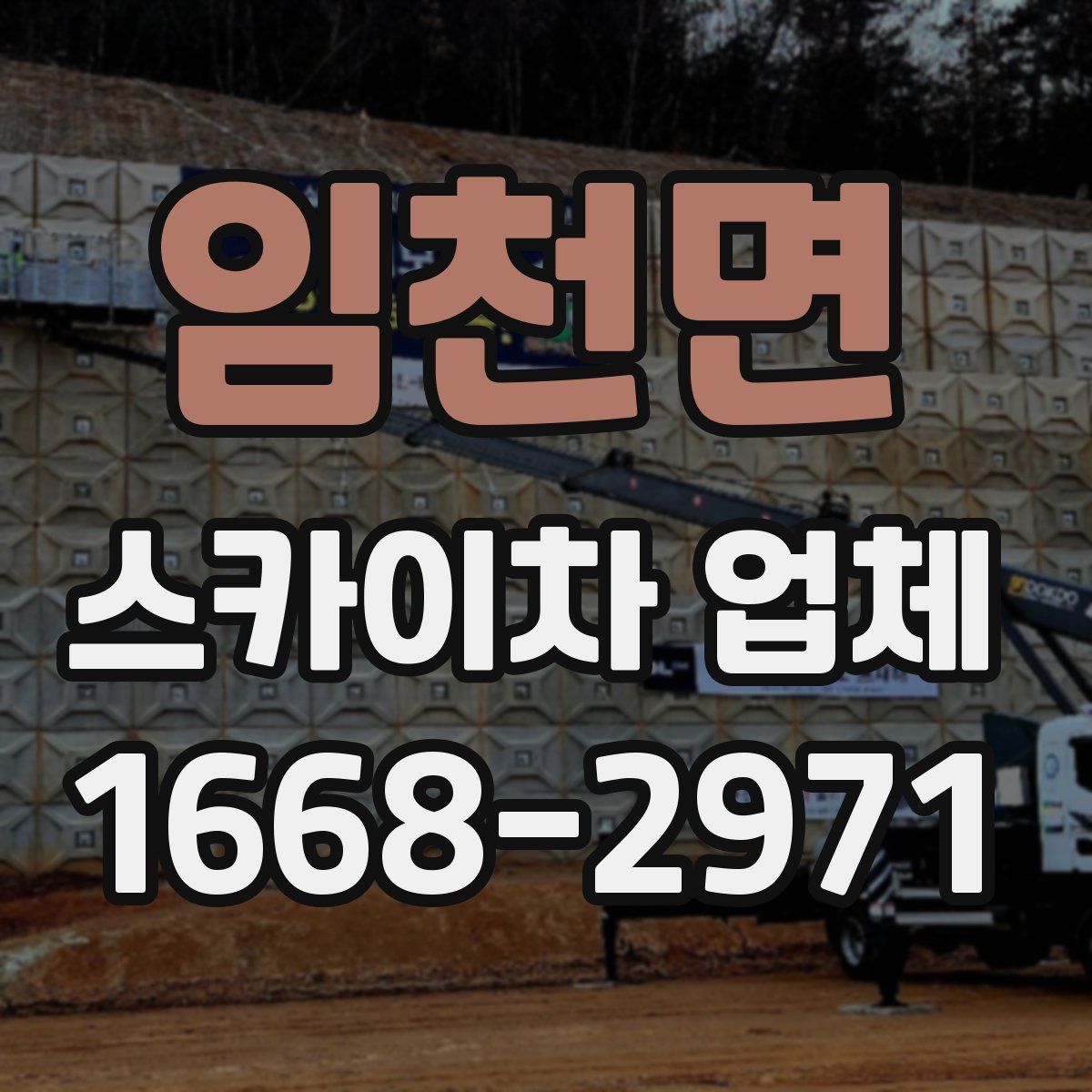 임천면 스카이차 업체