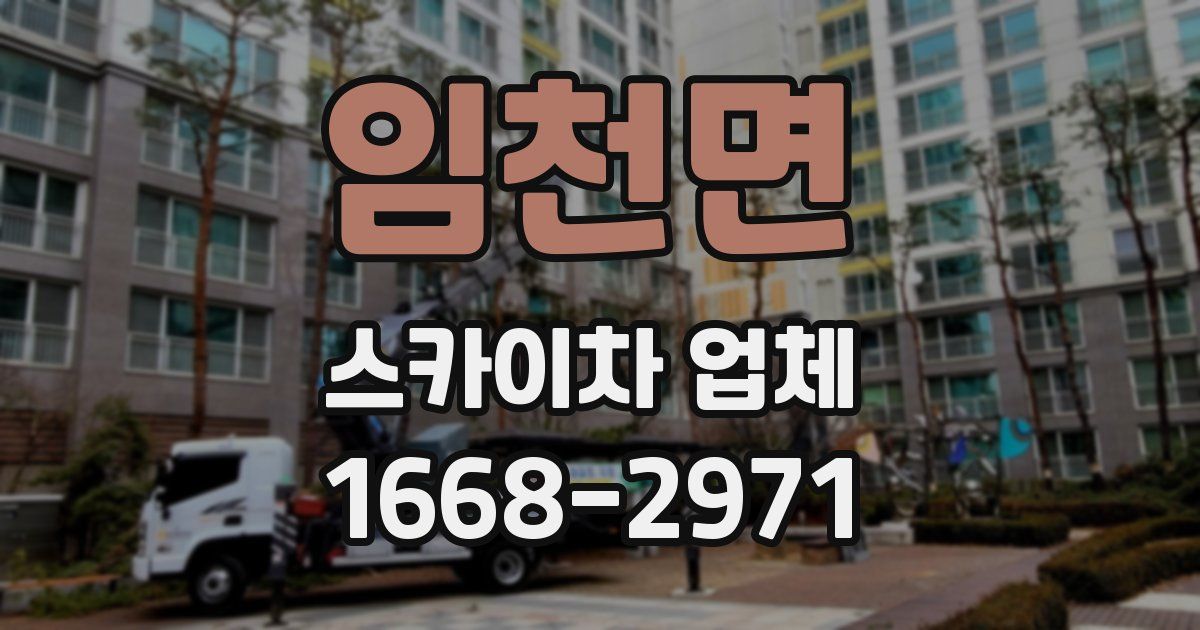임천면 스카이차 업체