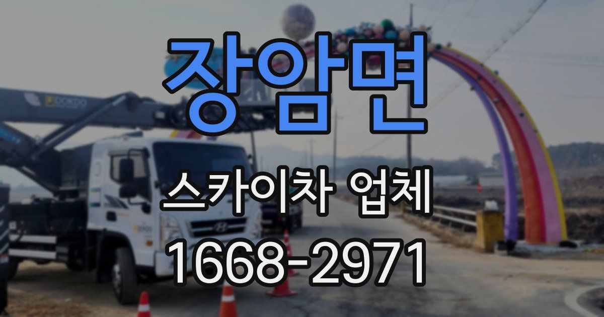 장암면 스카이차 업체