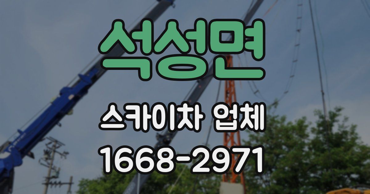 석성면 스카이차 업체
