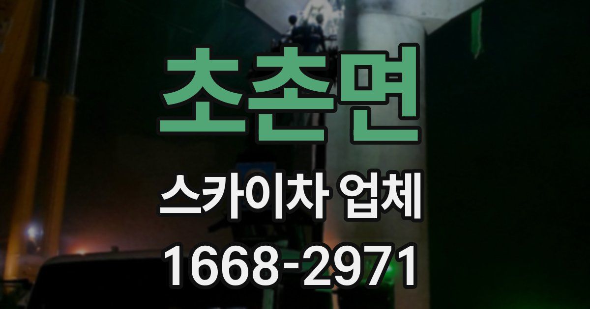 초촌면 스카이차 업체