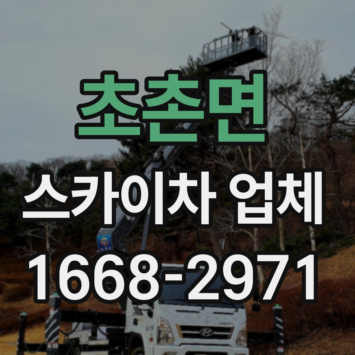 초촌면 스카이차 업체