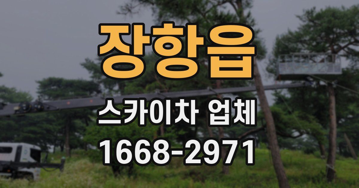 장항읍 스카이차 업체