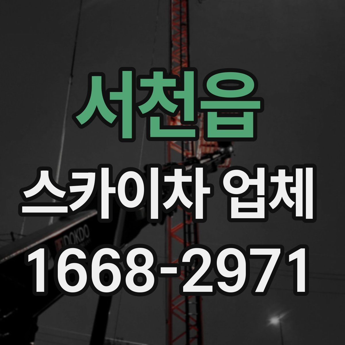 서천읍 스카이차 업체