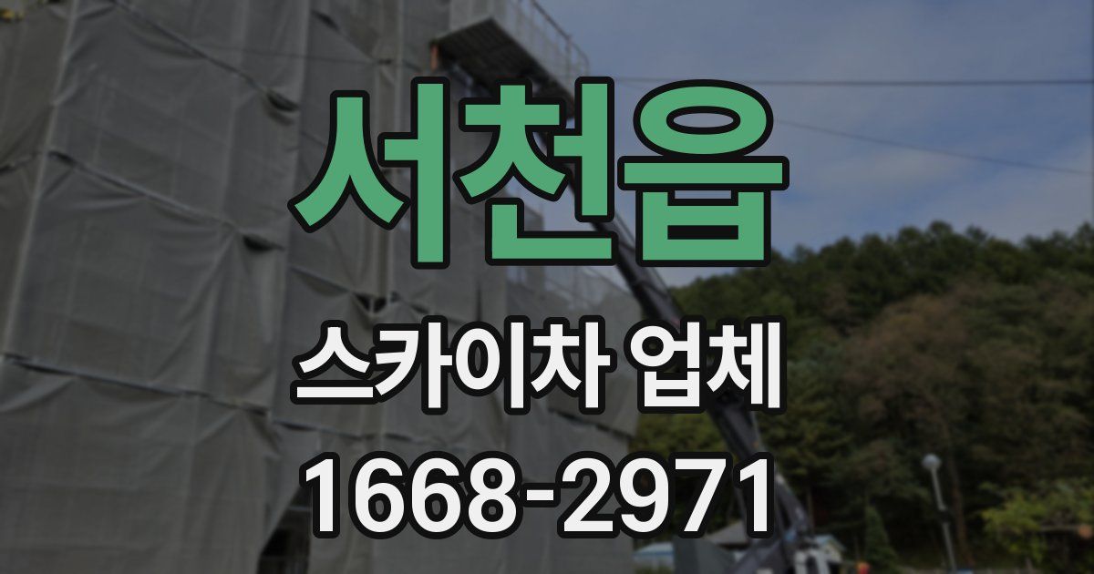 서천읍 스카이차 업체