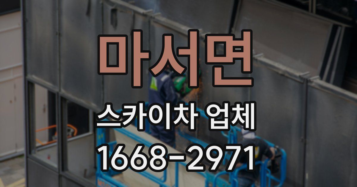 마서면 스카이차 업체