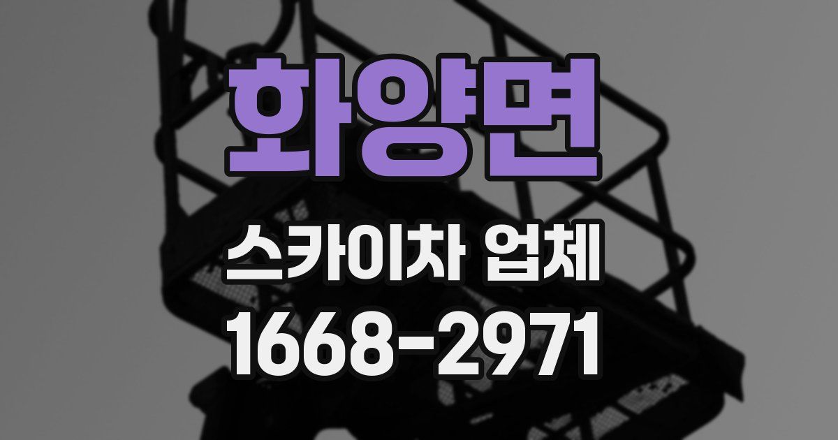 화양면 스카이차 업체