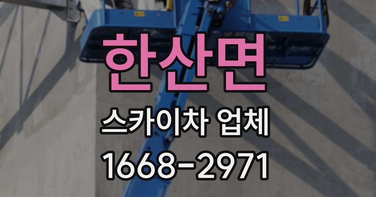 한산면 스카이차 업체