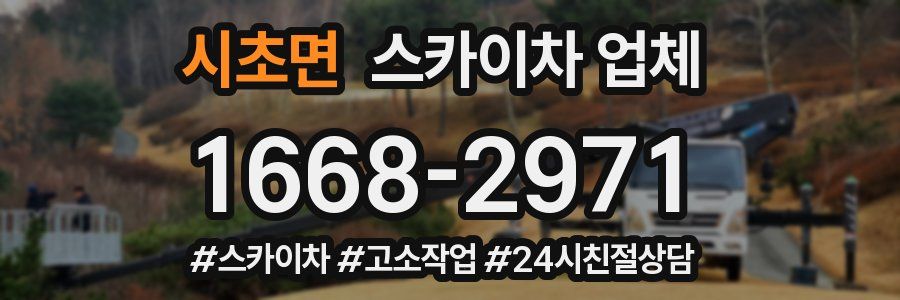 시초면 스카이차 업체