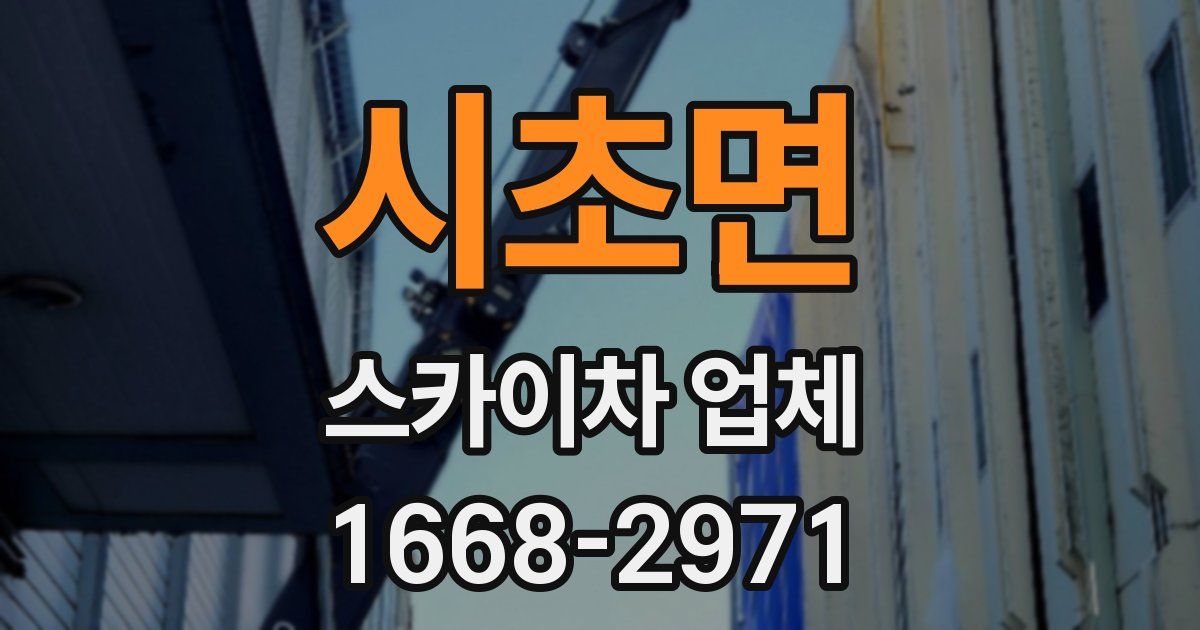 시초면 스카이차 업체