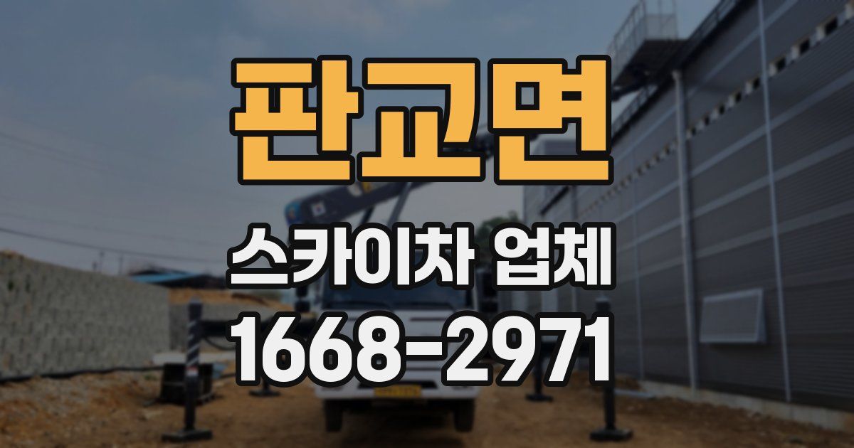 판교면 스카이차 업체