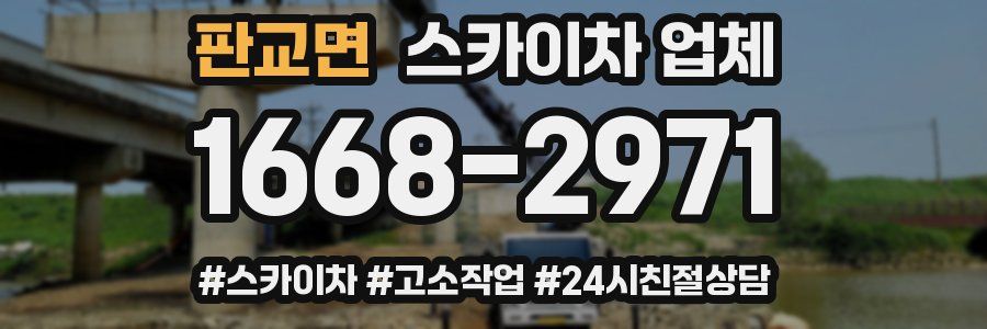 판교면 스카이차 업체