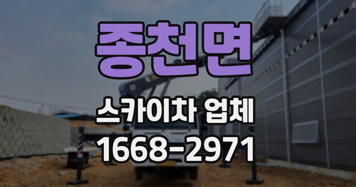 종천면 스카이차 업체