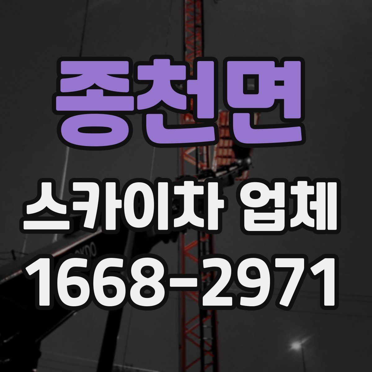 종천면 스카이차 업체