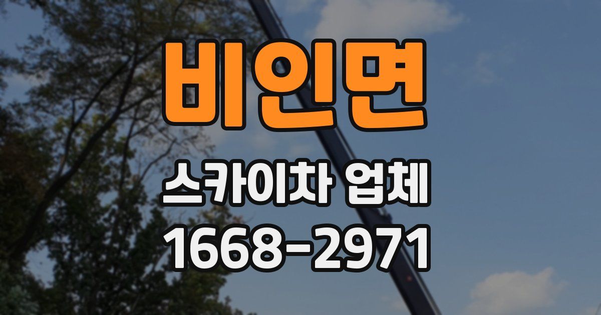 비인면 스카이차 업체