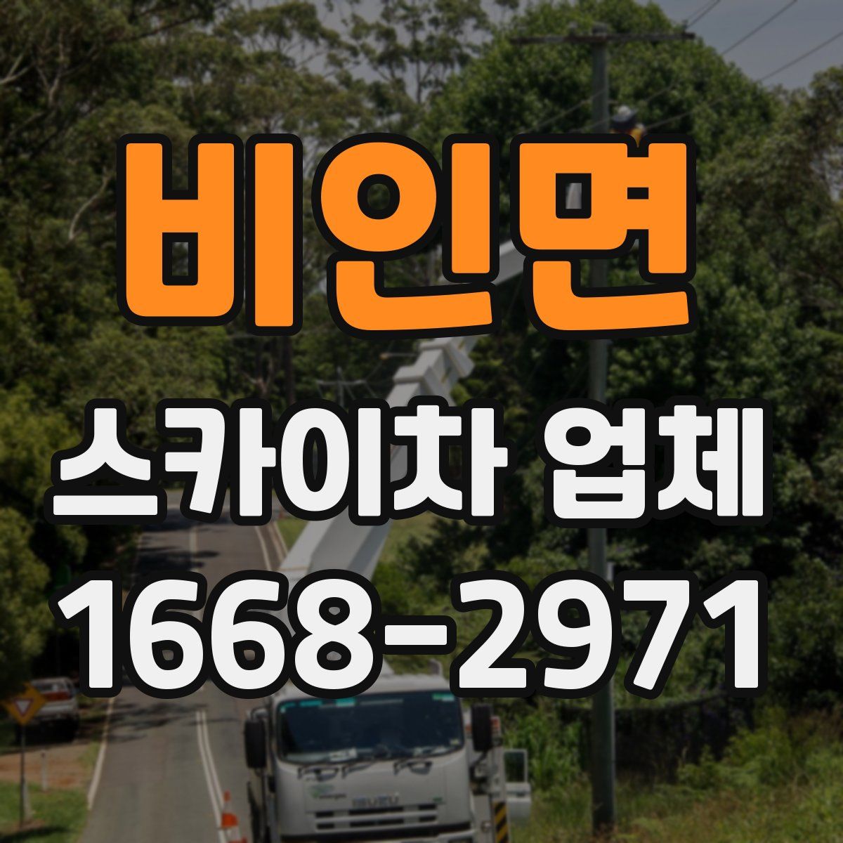 비인면 스카이차 업체