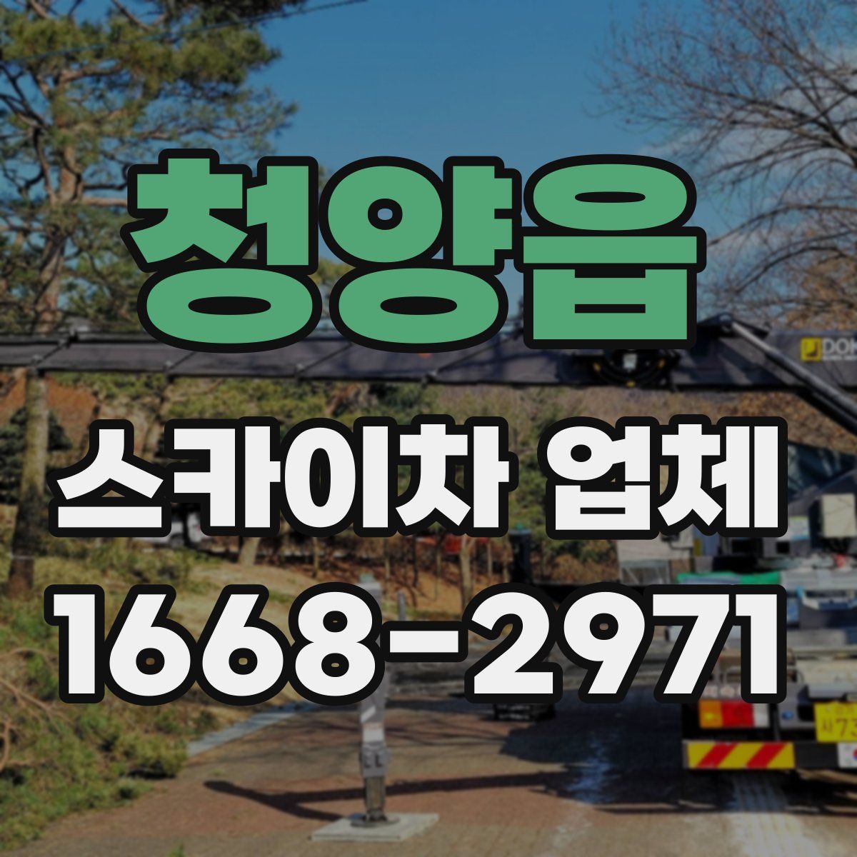 청양읍 스카이차 업체