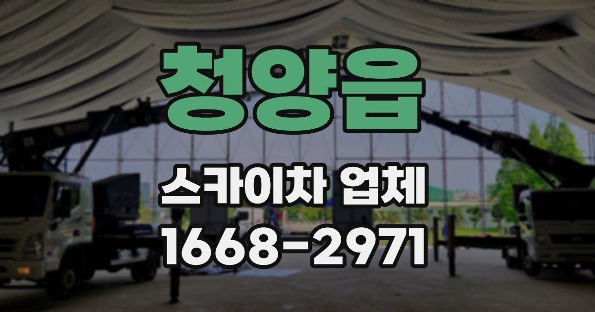 청양읍 스카이차 업체