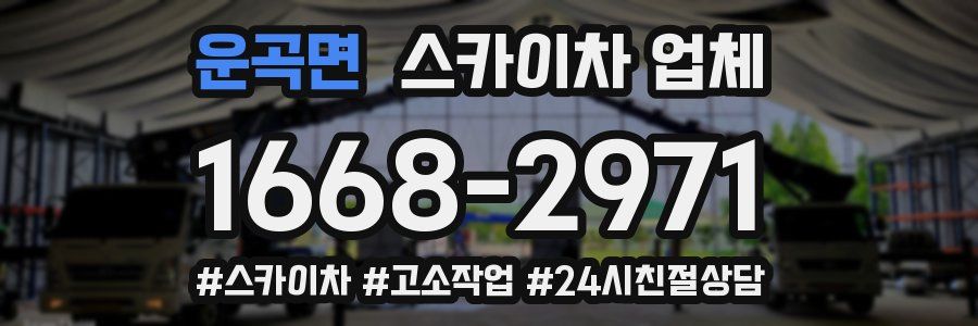 운곡면 스카이차 업체
