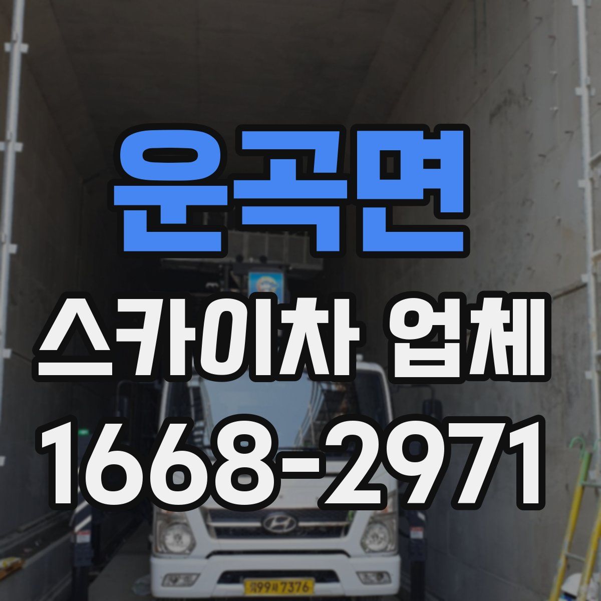 운곡면 스카이차 업체