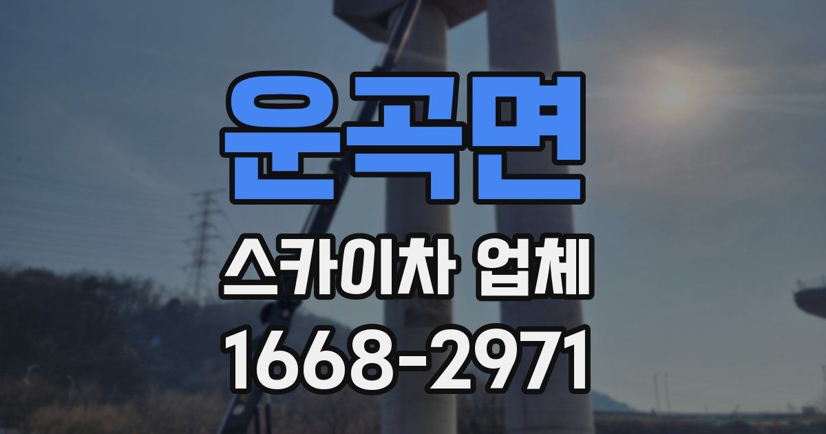 운곡면 스카이차 업체