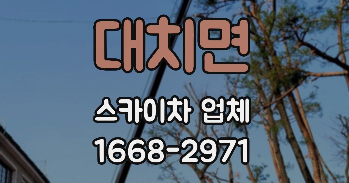 대치면 스카이차 업체