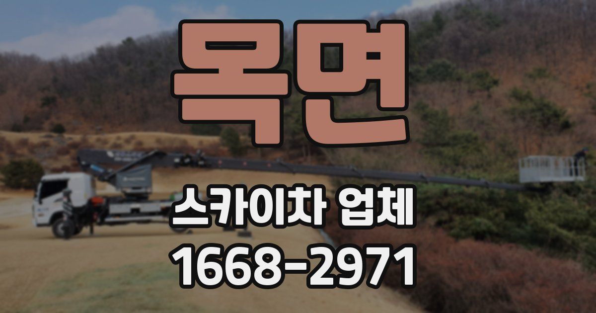 목면 스카이차 업체