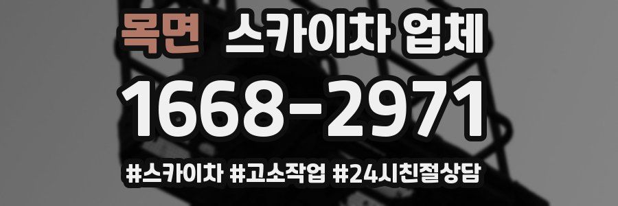 목면 스카이차 업체