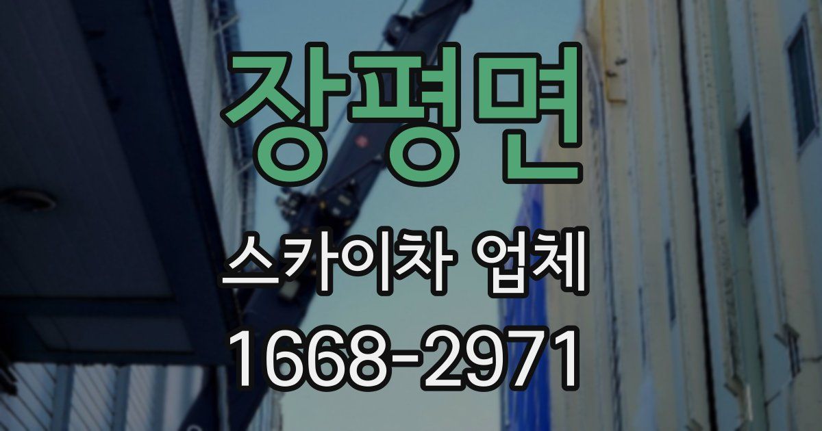 장평면 스카이차 업체