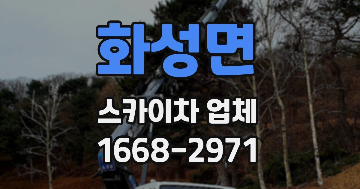 화성면 스카이차 업체